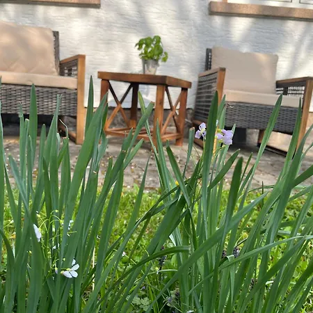 - Am Bahnhof Mit Wlan & Garten 度假居 Kusel